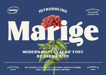 Marige - Modern Display Serif Font Free Download Display