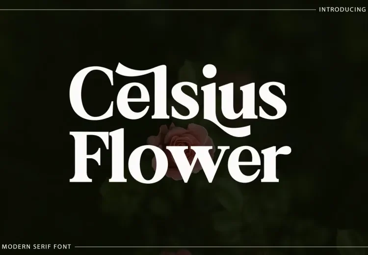 Celsius Flower Font Free Download Serif