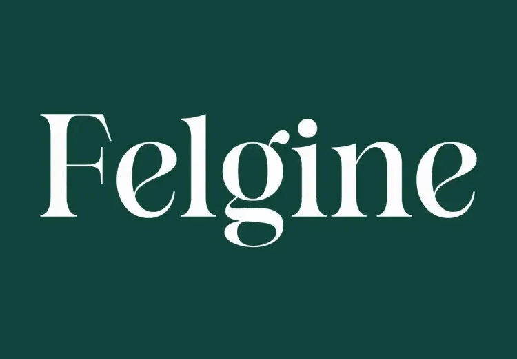 Felgine Font Free Download Serif