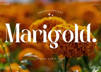 Marigold Font Free Download Serif