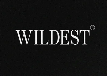 Wildest Font Free Download Serif