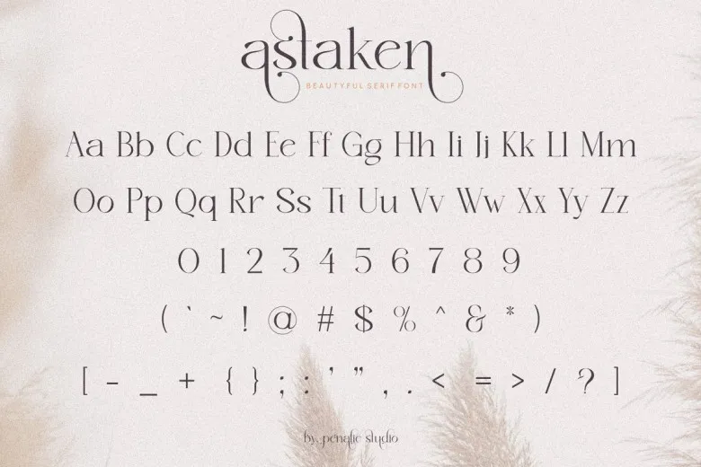 Astaken Font Free Download Serif