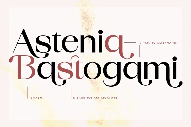 Begota Display Font Free Download Display