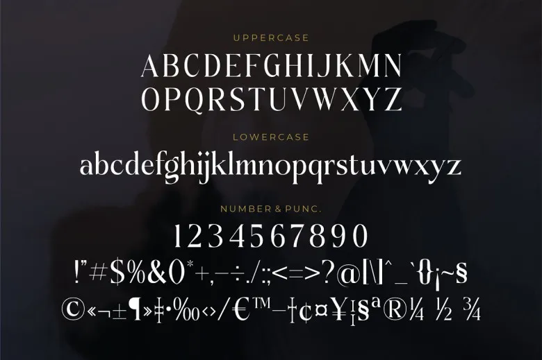 Doknatle Font Free Download Serif