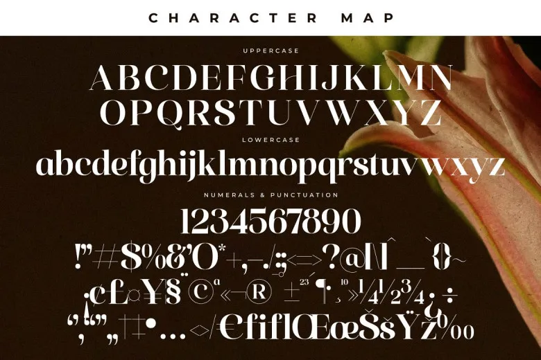 Florilst Realik Font Free Download Serif