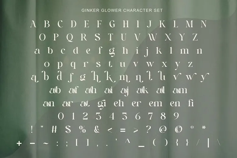 Ginker Glower Font Free Download Serif