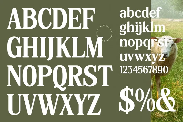 Hasbor Font Free Download Serif