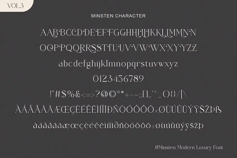 Minsten Font Free Download Serif