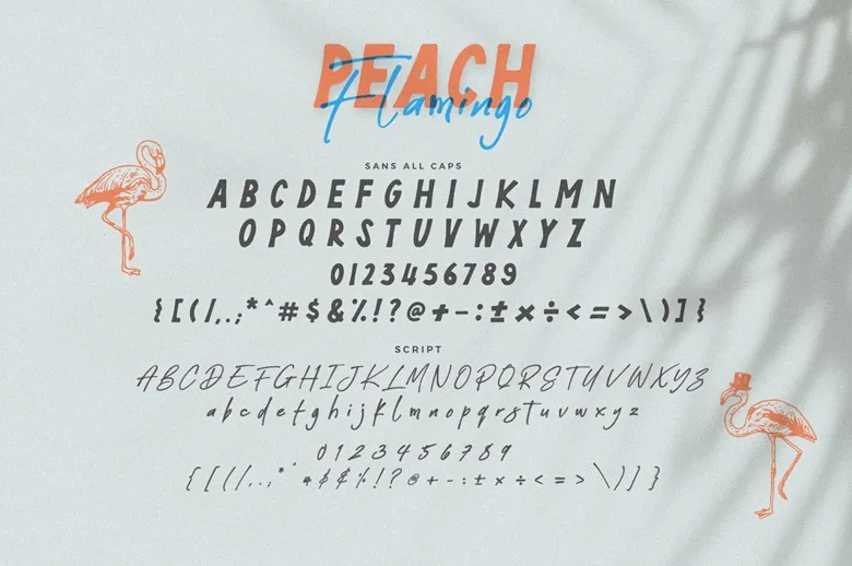 Peach Flamingo Font Free Download Sans Serif