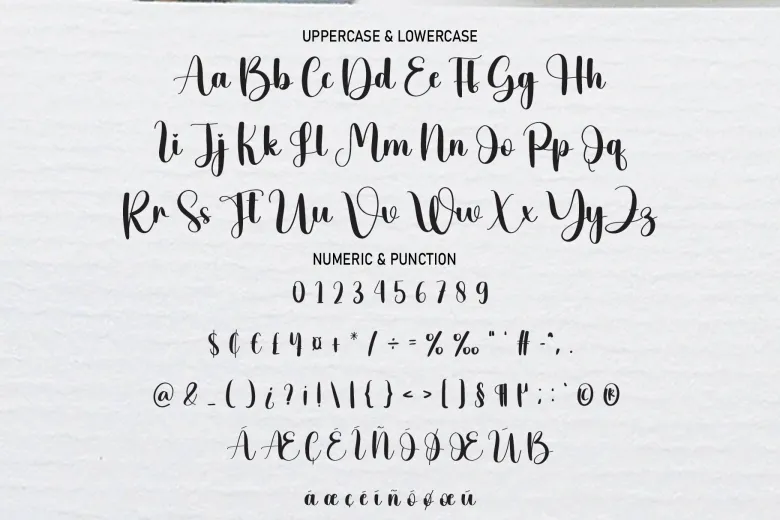 Photography Font Free Download Handwritten