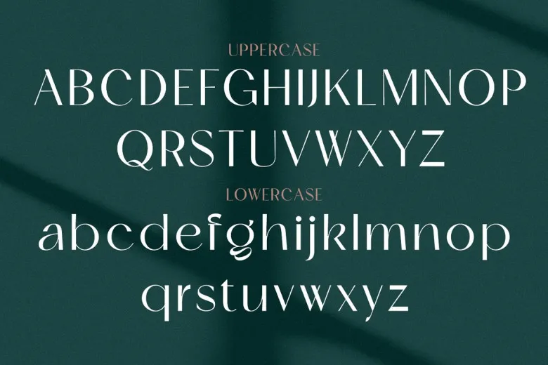 Skeina Font Free Download Sans Serif