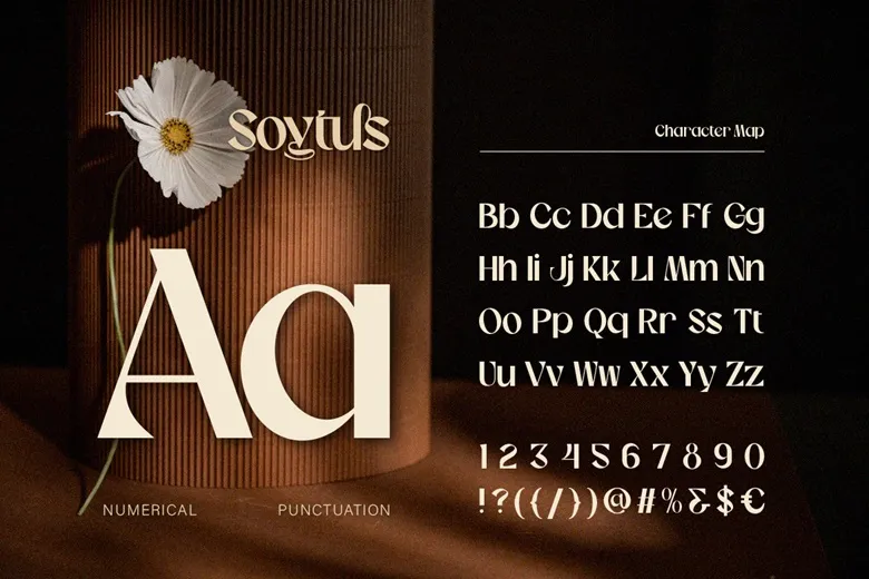 Soytus Font Free Download Serif