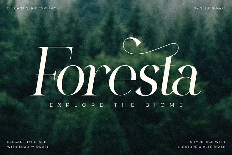 The Shyte Font Free Download Serif